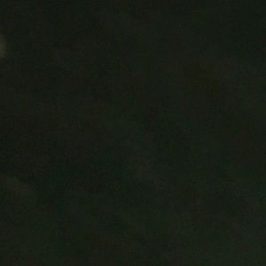 Meet your Posher, Leon